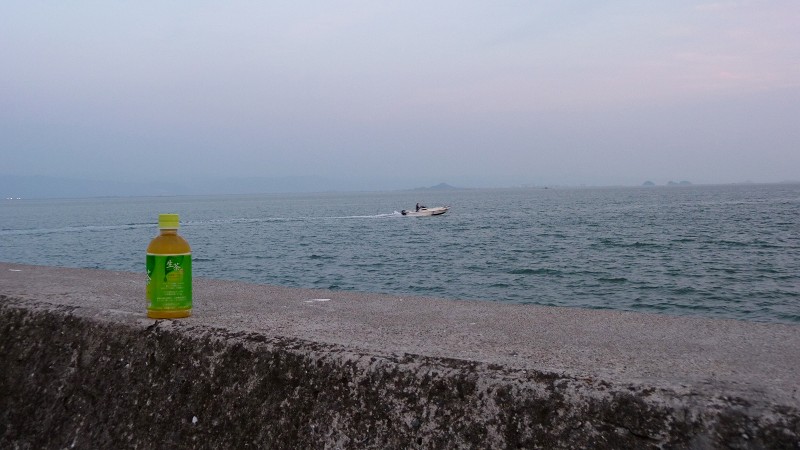 05.jpg
