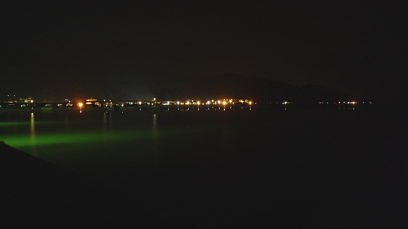 P1090682.jpg