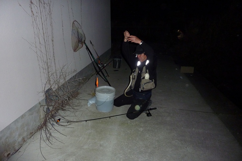 P1030493.jpg